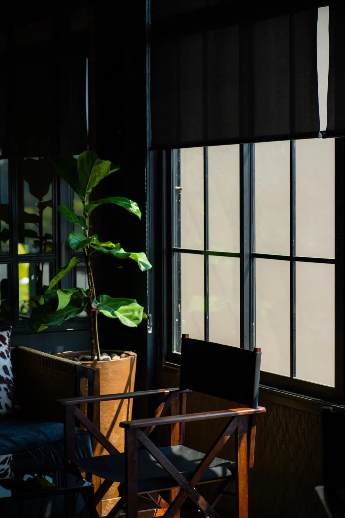Black Biscuit Cafe & Bar 3