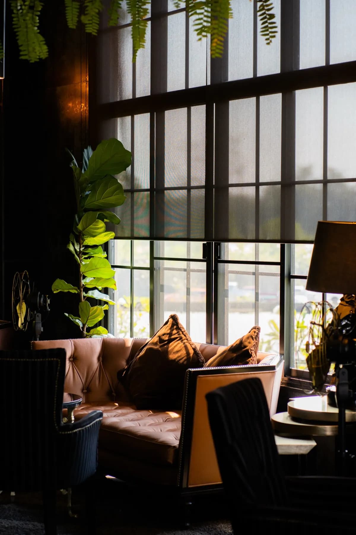 Black Biscuit Cafe & Bar 4