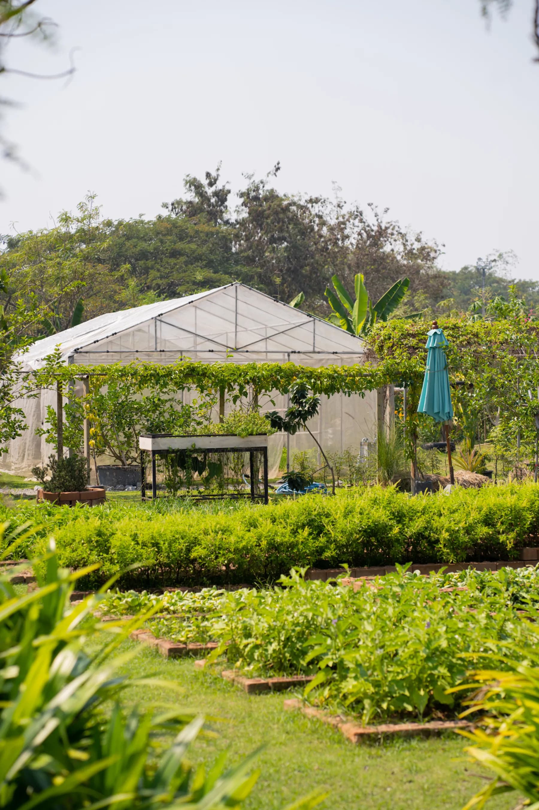 Koolpunt Farm | ฟาร์มกุลพันธ์ 2