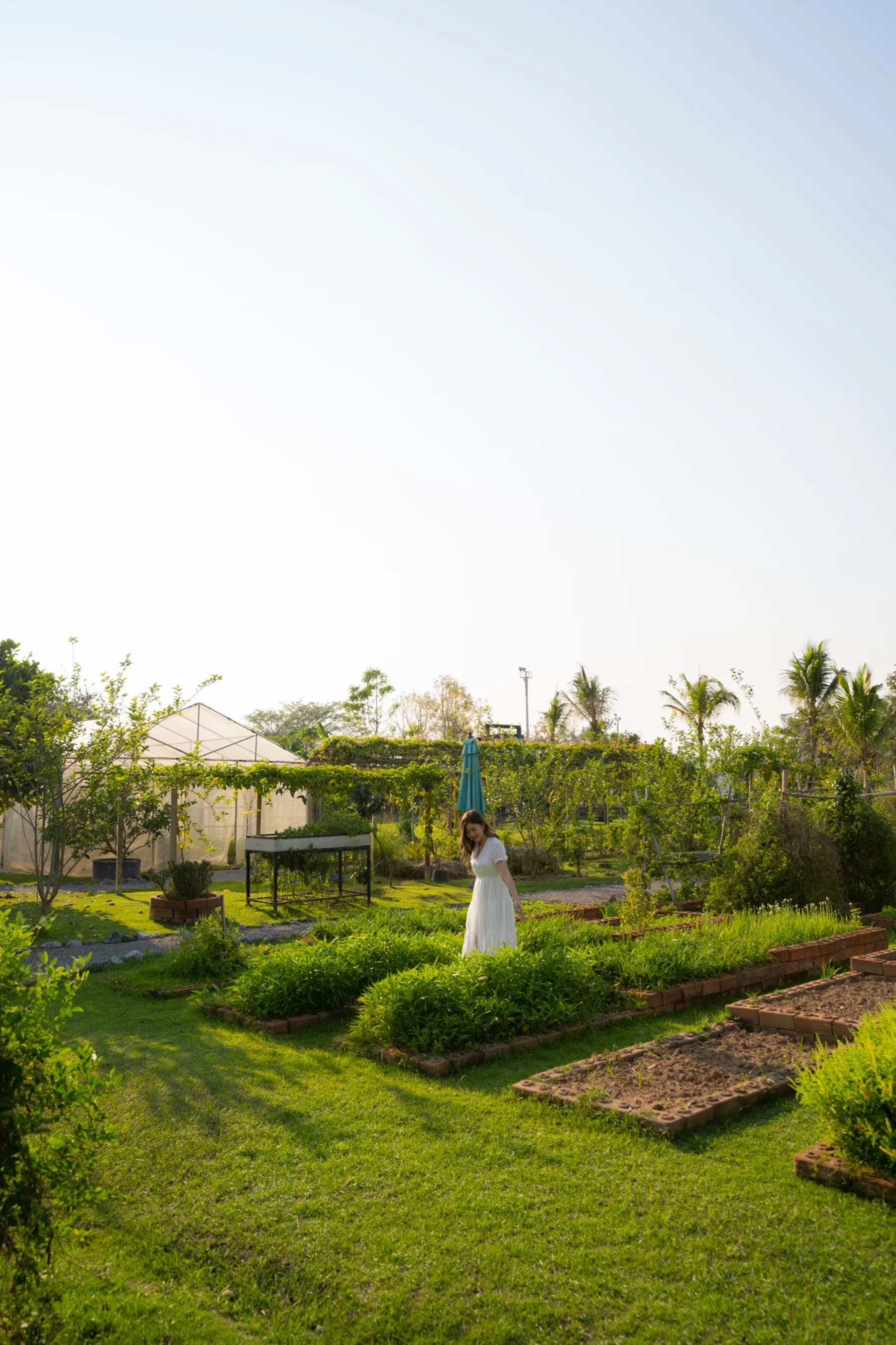 Koolpunt Farm | ฟาร์มกุลพันธ์ 1