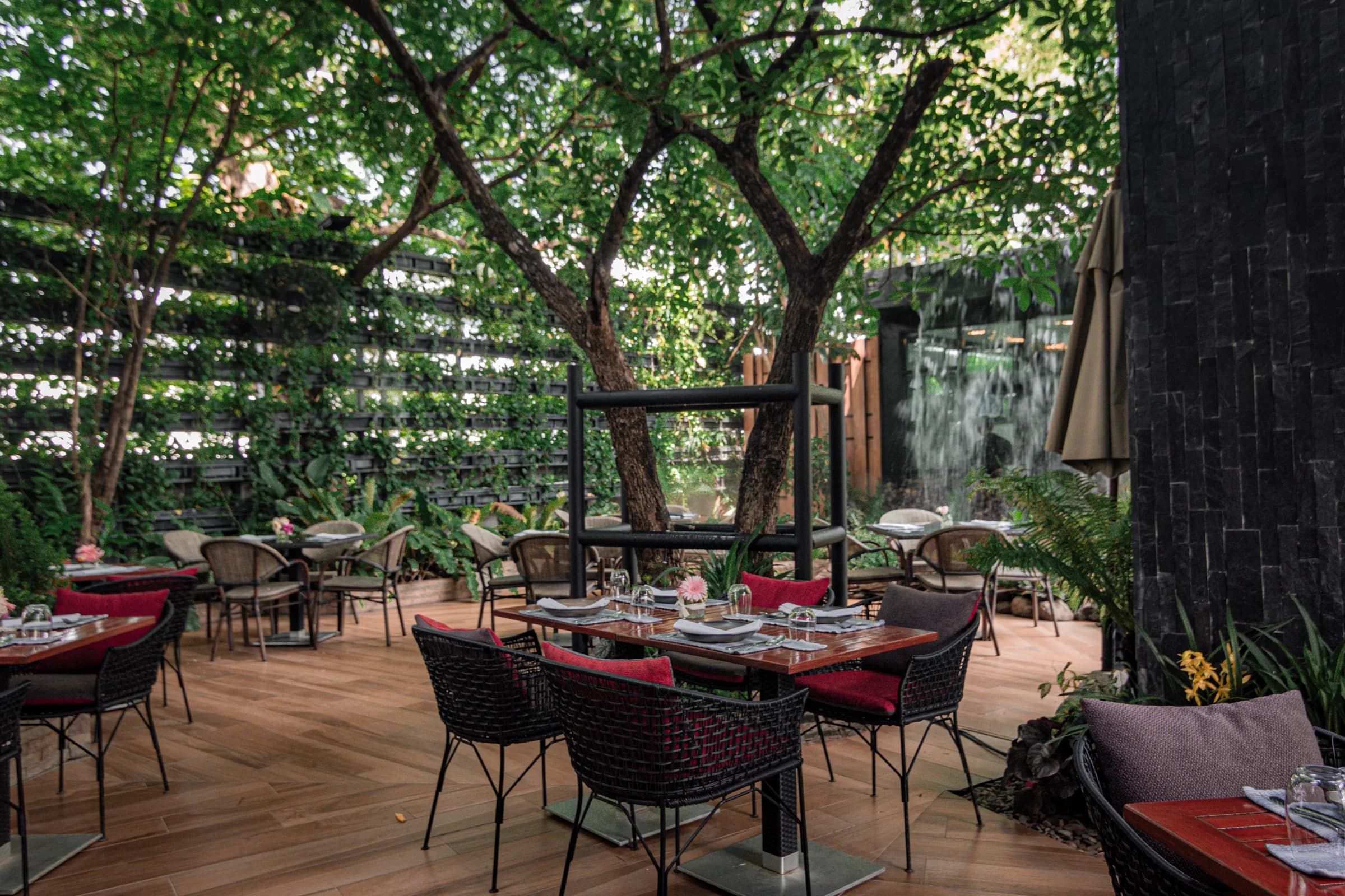Parc Thai Eatery 5