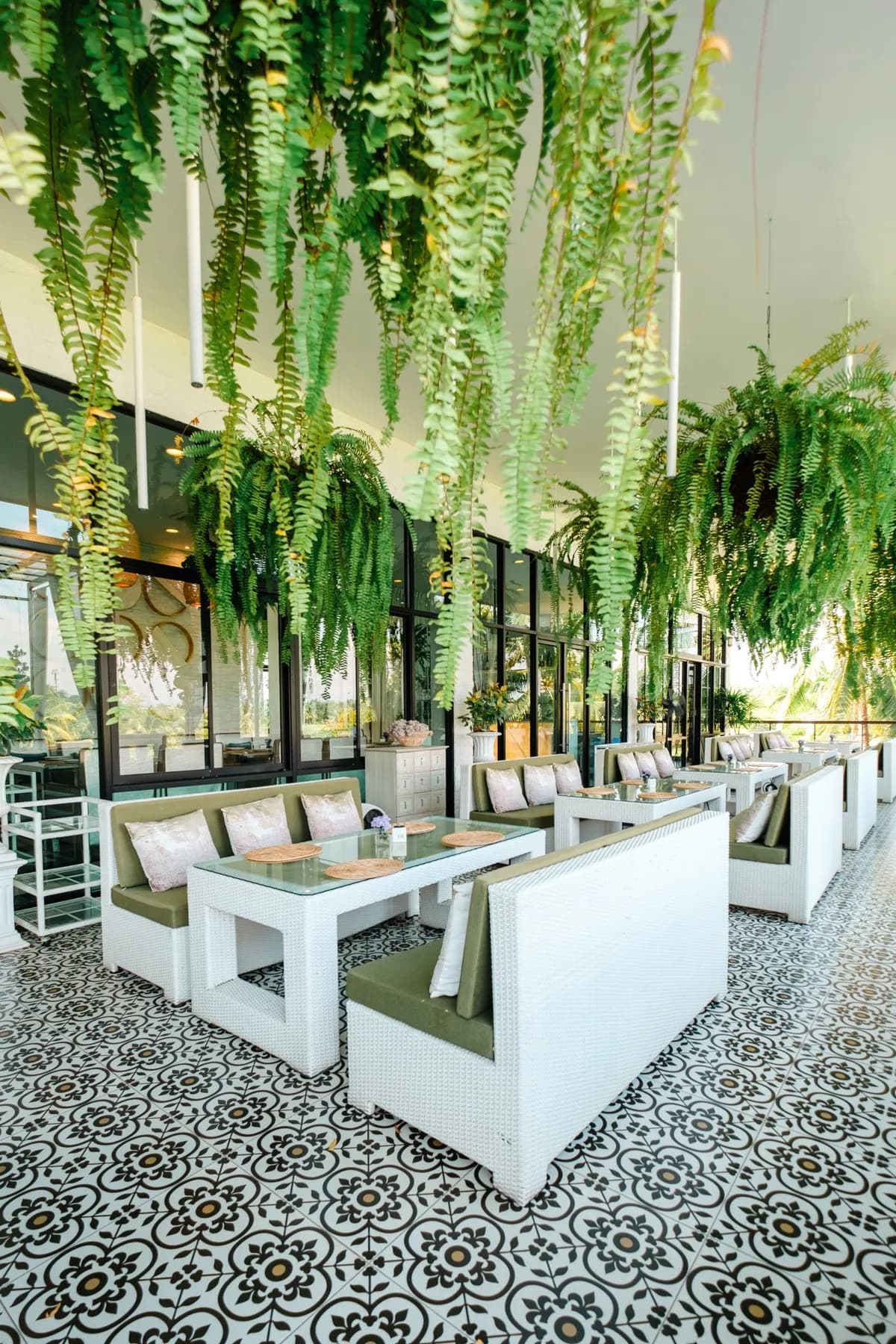 White Jungle Restaurant & Wine Bar 3