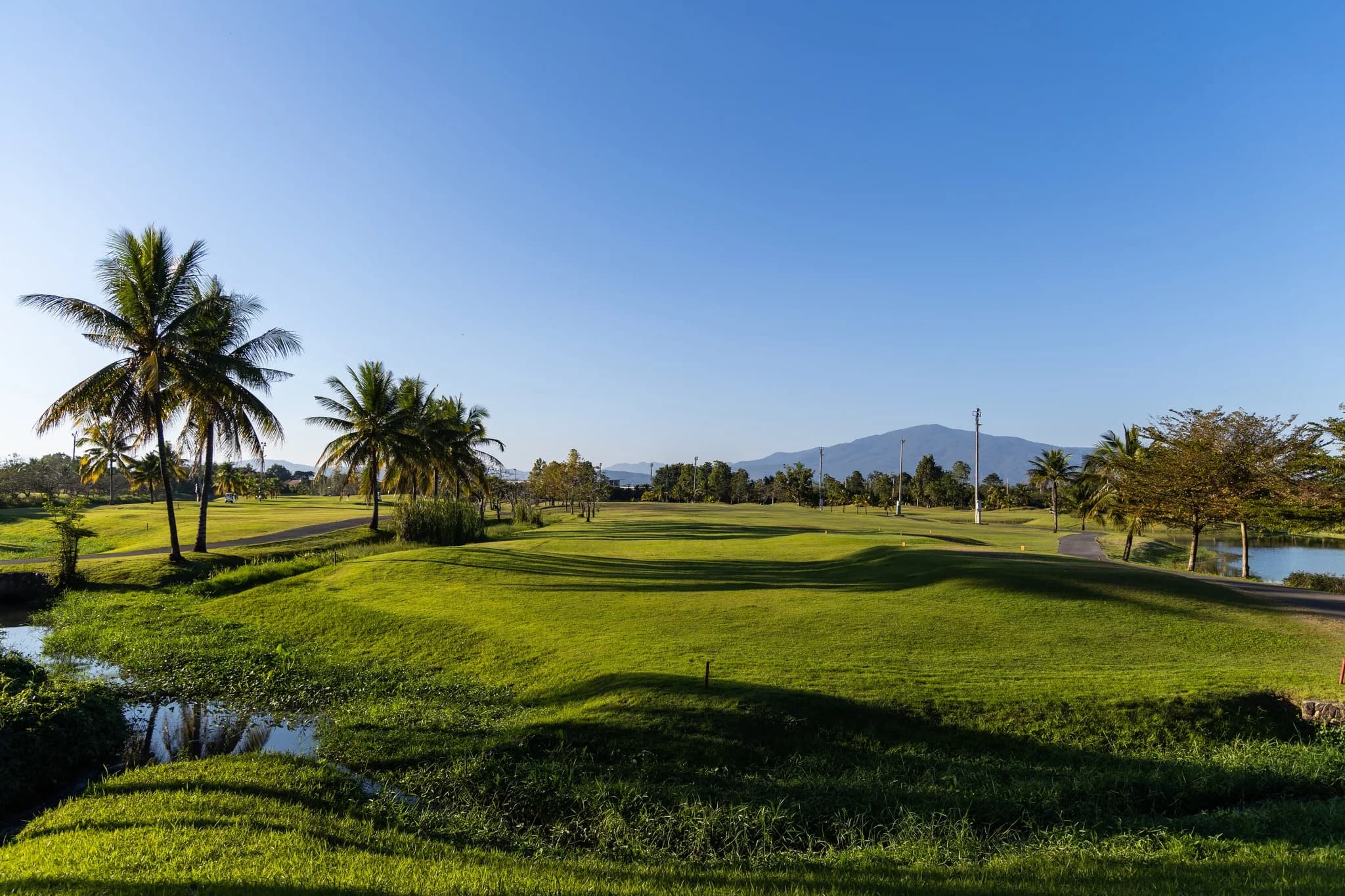 North Hill Golf Club 4