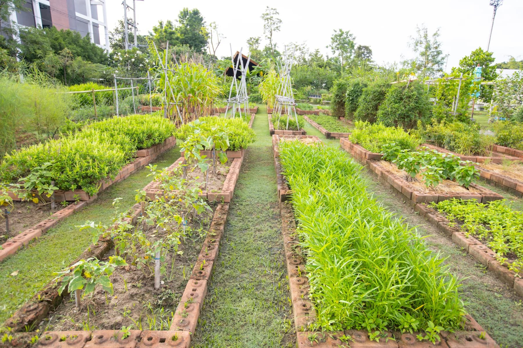 Koolpunt Farm | ฟาร์มกุลพันธ์
